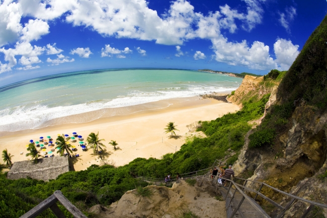  Pipa & Natal  - Vacas de Invierno