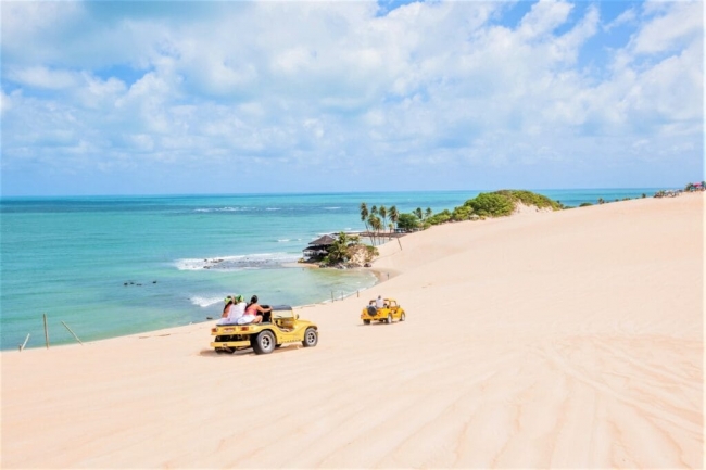  Pipa & Natal  - Vacas de Invierno