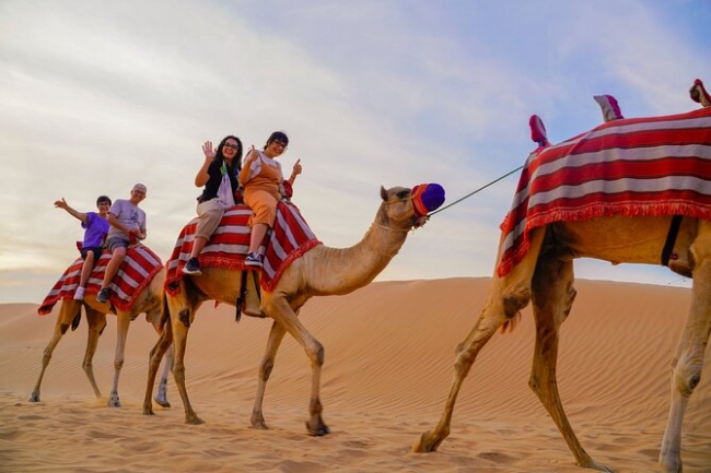 ✨ DUBAI 🌍 Vacas de invierno