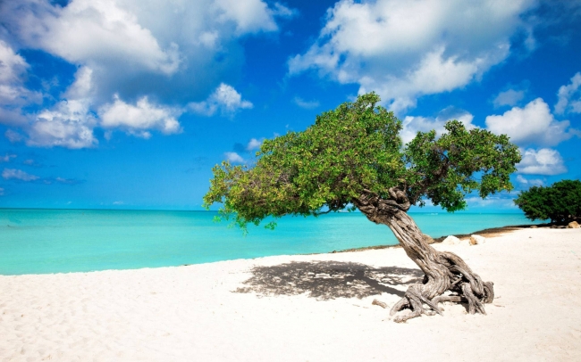 Aruba - Agosto a diciembre 2026