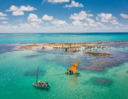 Macei� - Vacas de invierno - 20 JUL