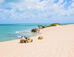  Pipa & Natal  - Vacas de Invierno